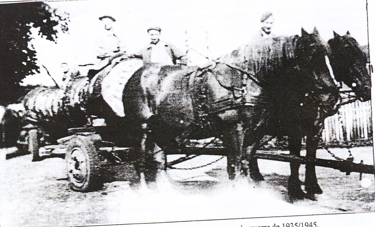 Old photo: a huge beech log on a horse-drawn cart, with three men on it