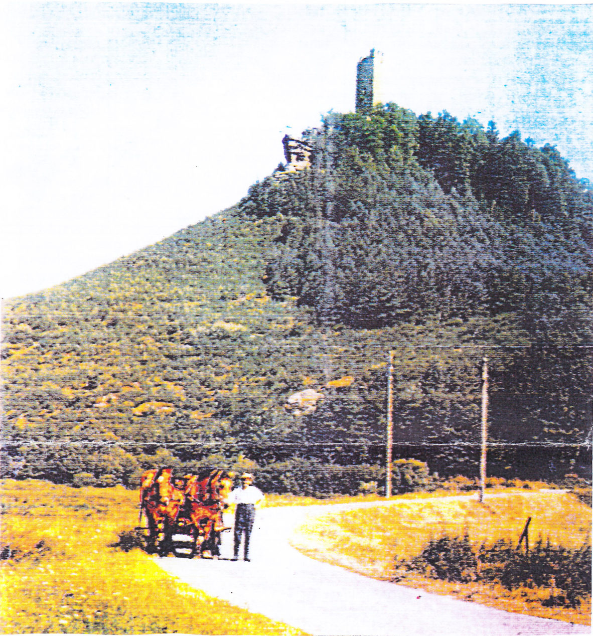 Altes Farbfoto: der Waldeck-Hügel mit seinem Turm, im Vordergrund ein Mann mit seinen Pferden auf der Straße