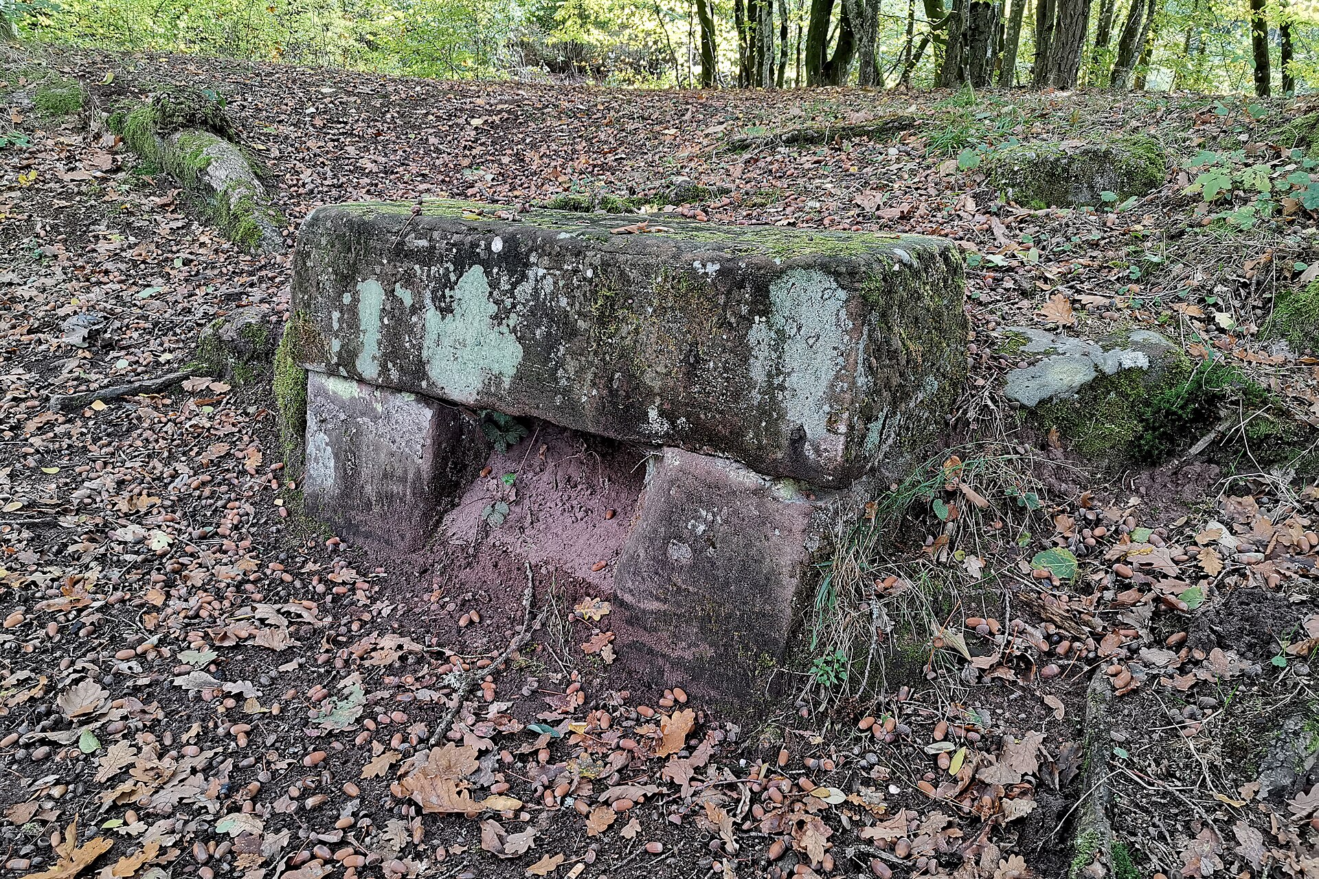 Moosbewachsener Sandsteinblock im Unterholz