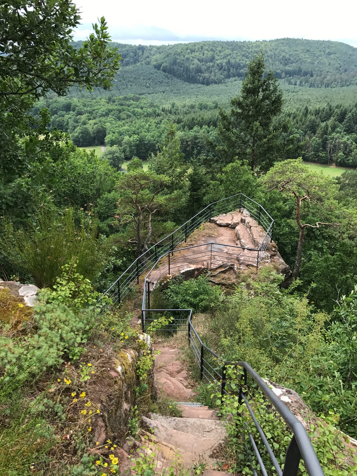 Die Ruine der Burg Waldeck