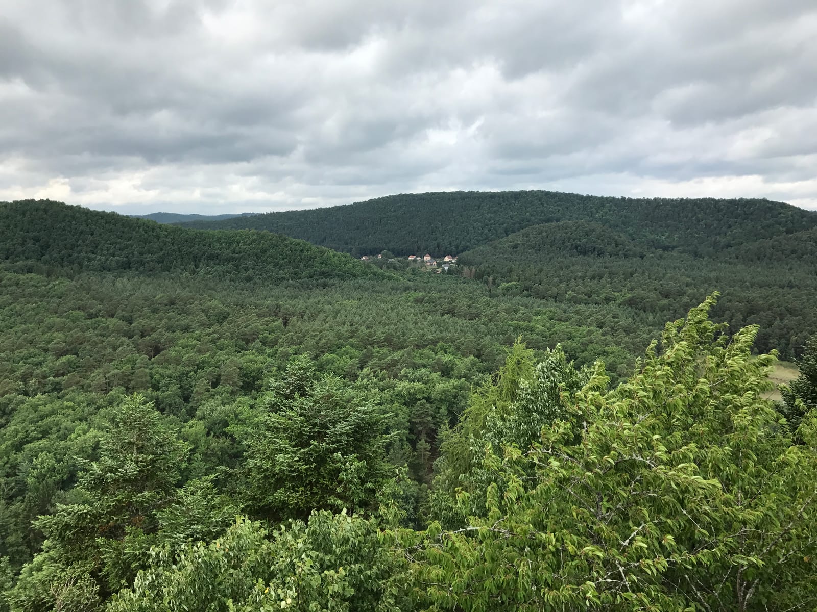Blick über die Wälder der Nordvogesen vom Waldeck